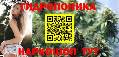 гидропоника Кимры