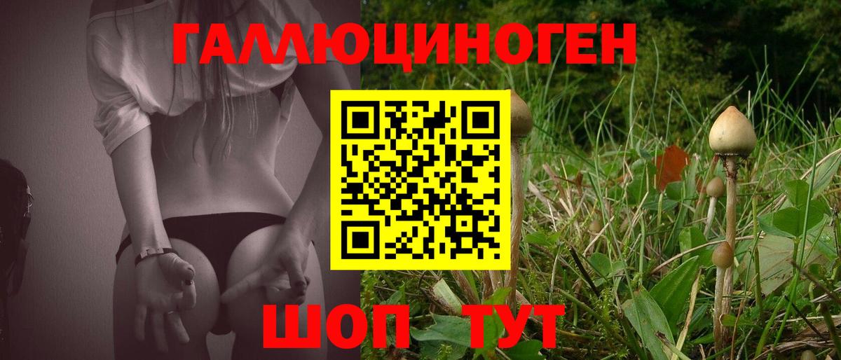 Псилоцибиновые грибы Magic Shrooms Крымск