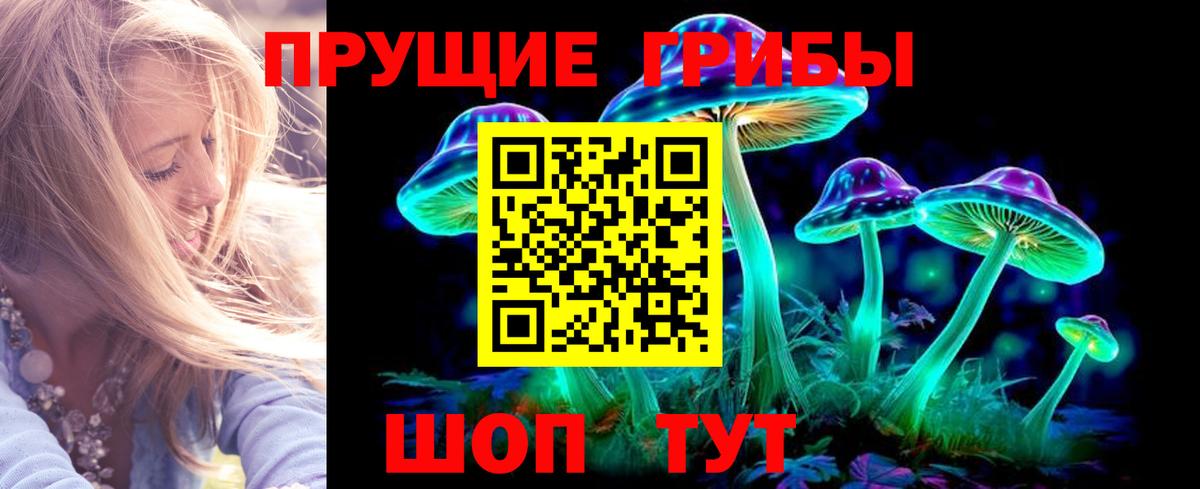 магазин  наркотиков  Вход с VPN  Крымск  Галлюциногенные грибы Psilocybe 